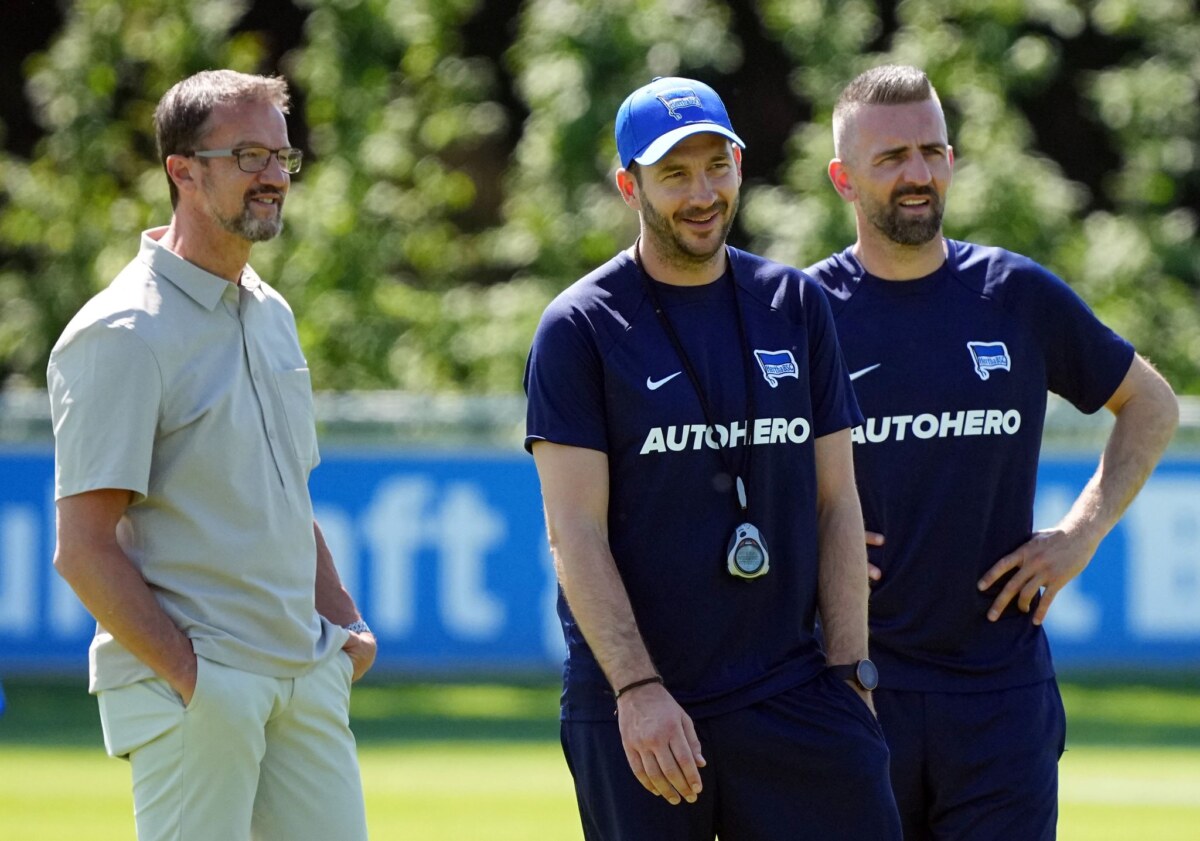 Ibisevic Wird Co Trainer Von Sandro Schwarz In New York