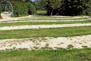 „Hier waren früher Staudenbeete“, erinnern sich die Anwohner