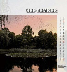 cr_lvs_tesc_48_kalender2
