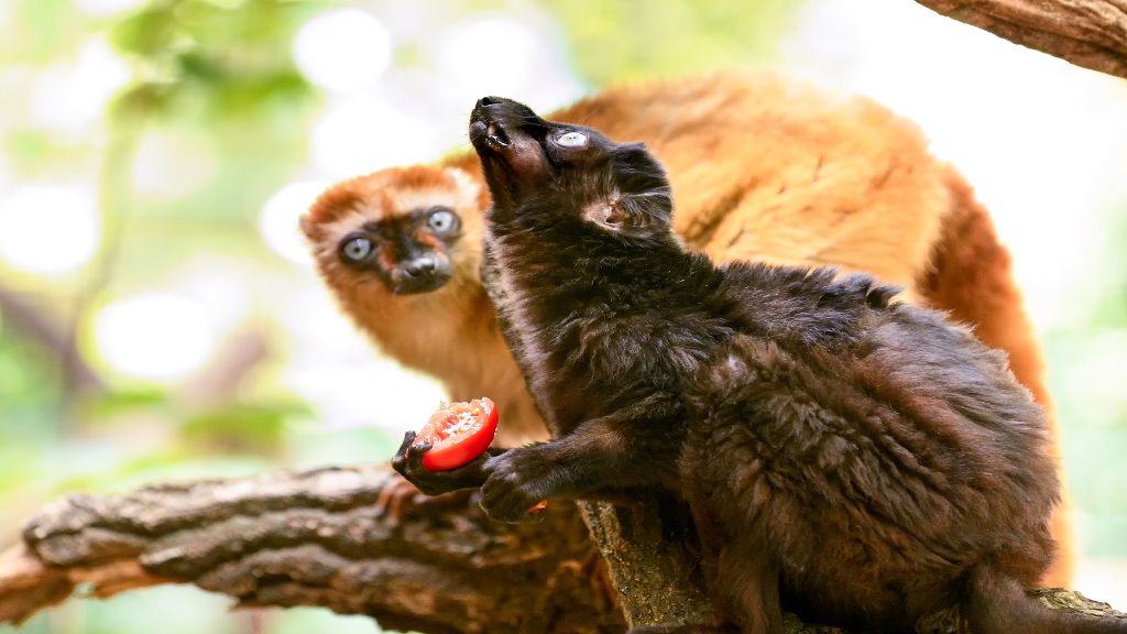 Steffen Freiling Photography