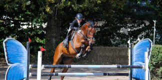 Reitturnier Reiten Reiter Rudow