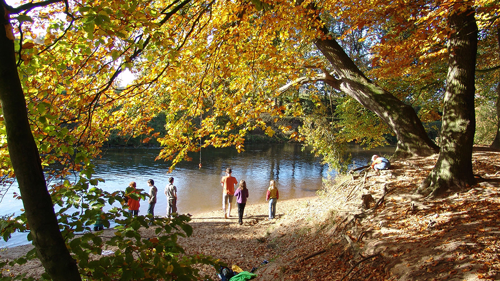 deutsche journalisten dienste Bild: 64355