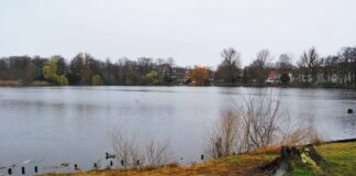 Der Schäfersee in Reinickendorf-Ost