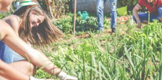 Ehrenamtliche Arbeit im Nachbarschaftsgarten