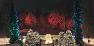 Christmas Garden