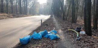 Wildes Mülllager in Reinickendorf