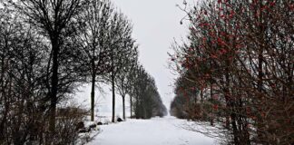 Winterspaziergang