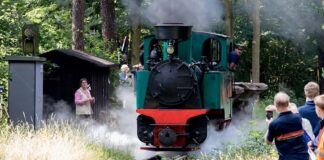 Fahrbetrieb - Dampfzug in Eichgestell _online