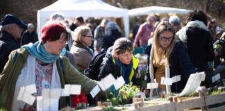 Berliner Staudenmarkt im Botanischen Garten