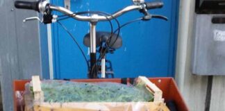 Lastenfahrrad Spandau