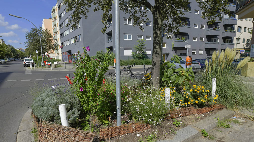 Begrünung Baumscheibe Eisenacher Straße Schöneberg Tempelhof Schöneberg Berlin Deutschland *** Die Straßenbäume im Bezirk leiden unter der Trockenheit