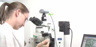 Cyano Biotech
