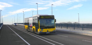 Buslinie 365
