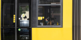 Straßenbahn