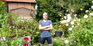 Björn Fiege