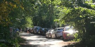 Falschparker am Flughafensee
