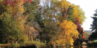 Amerikasee_Herbst_Botanischer-Garten_