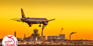 Landendes Flugzeug