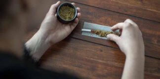 Cannabis Legalisierung