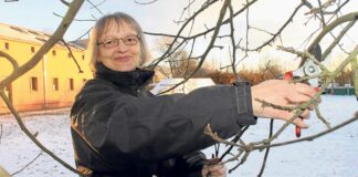 Beate Kitzmann