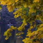 Schlachtensee