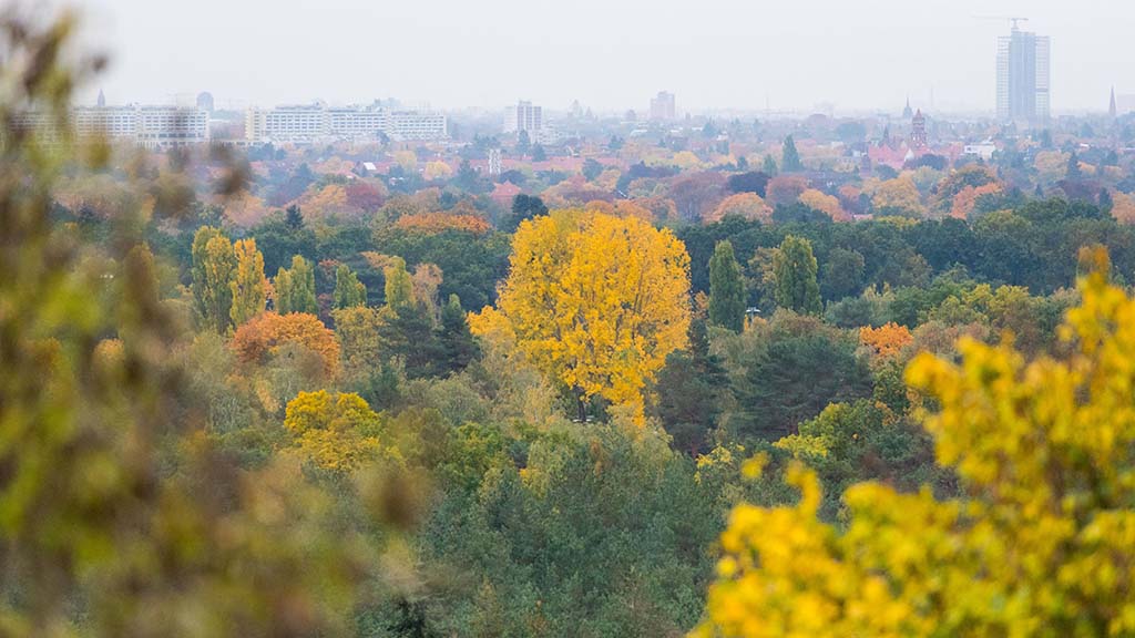 Herbstlich gefärbte Wälder