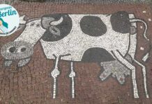 Kuh in Schöneberg