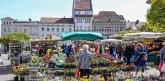 Altstadt Spandau Markt