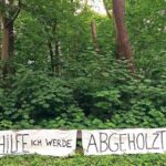 Dahlemer-Weg-Berlin-Fluechtlingsunterkunft