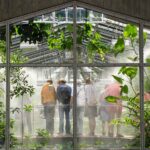 Victoriahaus im Botanischen Garten