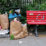Parkreinigung ist Erfolgsgeschichte: Müll und Verpackungen in einem Berliner Park