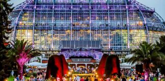 Botanische Nacht startet als Pilotprojekt
