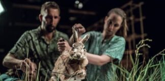 Eine Hase beim Theater der Dinge