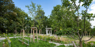 Auch Obstgehölze wurden in den jüdischen Garten gepflanzt