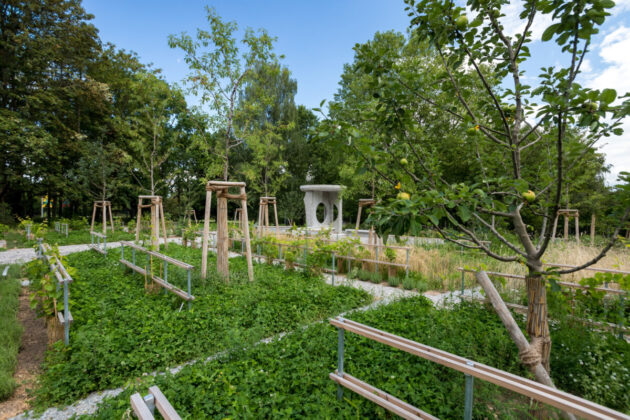 Auch Obstgehölze wurden in den jüdischen Garten gepflanzt