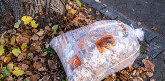 Einsatz gegen Herbstlaub