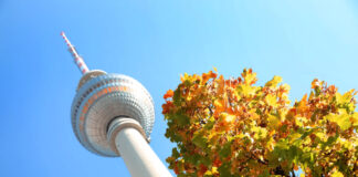 Herbstlaub