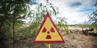 Die Folgen der Nuklearkatastrophe von Tschernobyl sind noch heute zu spüren.