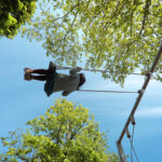 Spielplatz Jonny-K.-Aktivpark