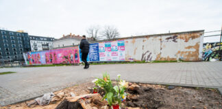 Die Kirschpflaume an der Warschauer Straße wurde Opfer von Sturm "Zeynep". Bild: Stefan Bartylla