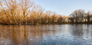Karpfenteich im Winter im Treptower Park.