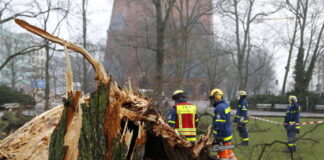 Das Technische Hilfswerk (THW) bei Aufräumarbeiten eines umgestürzten Baumes durch den Sturm am 17.02.2022 in Berlin Moa