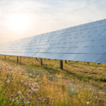Solarzellen Rendite