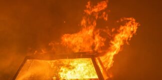 Ein Camping-Transporter brannte am Donnerstagmorgen in der Kiefholzstraße. Bild: David Young/dpa