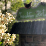 Blüten