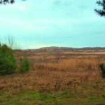 Hahneberg