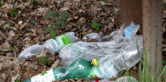 In der Natur entsorgte Plastik Wasserflaschen *** Plastic water bottles discarded in nature