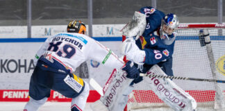 Eisbären