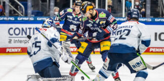 Eisbären verlieren