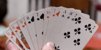 Ein Skatspieler hält Spielkarten in der Hand. *** A skat player holds playing cards in his hand